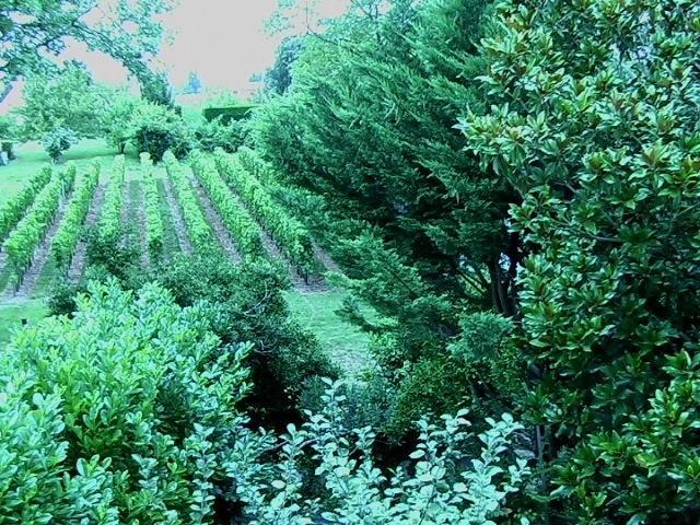 圣爱美浓住宿加早餐旅馆 圣艾米隆 外观 照片